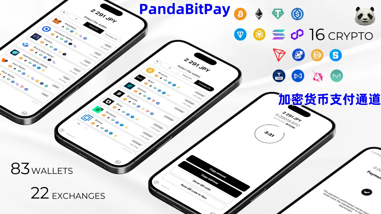 What is blockchain payment? How can merchants use PandabitPay to  payments?